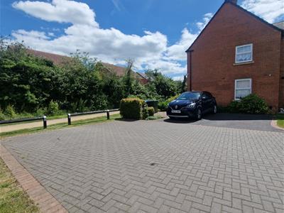 Picture 21
